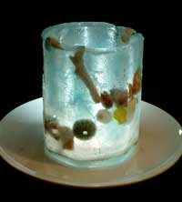 Food Design & Home Economist Maga Circe